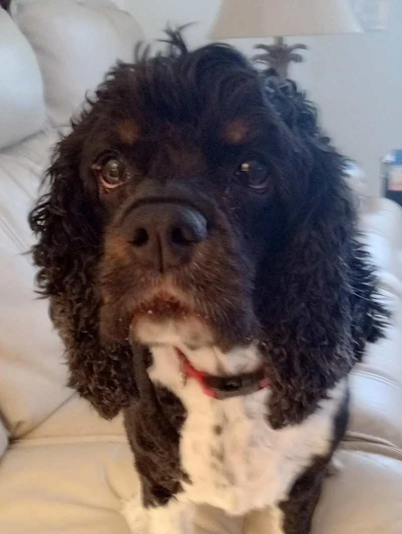 Ruby