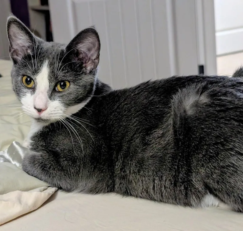 Charlotte thumbnail 2