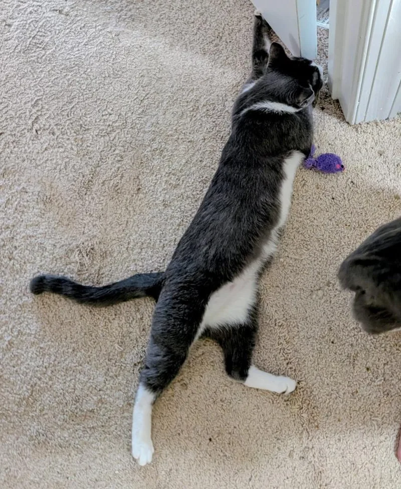 Charlotte thumbnail 3