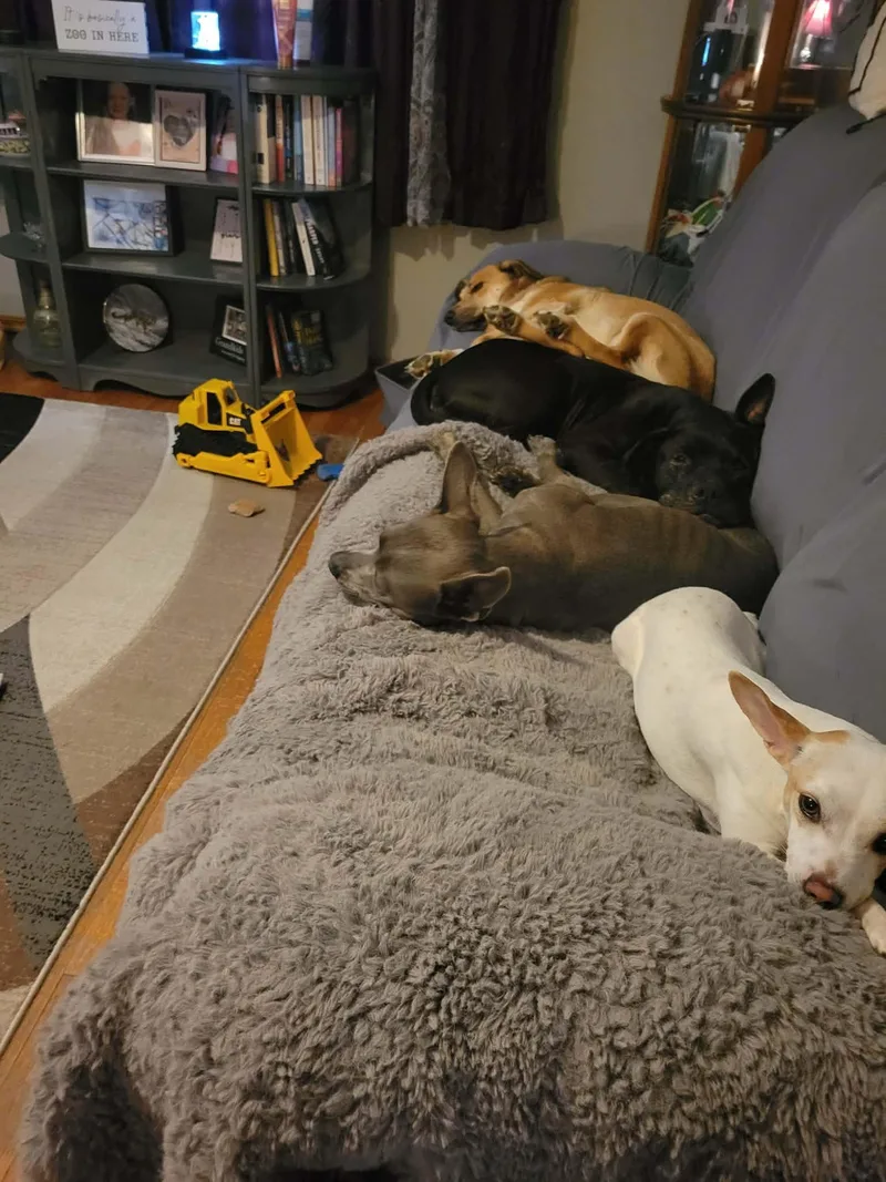Gracie thumbnail 5
