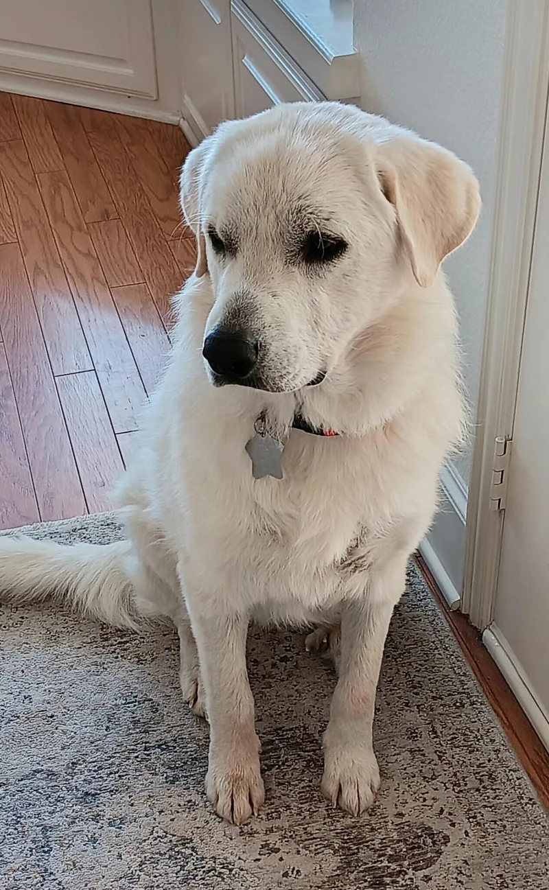 Curtis Dfw thumbnail 3