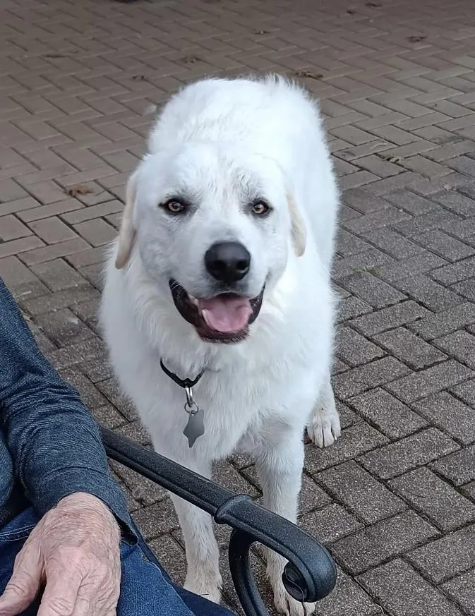 Curtis Dfw thumbnail 4