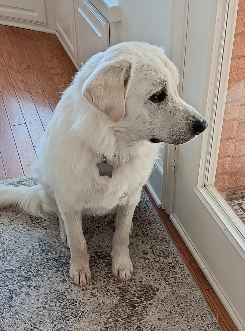 Curtis Dfw thumbnail 5