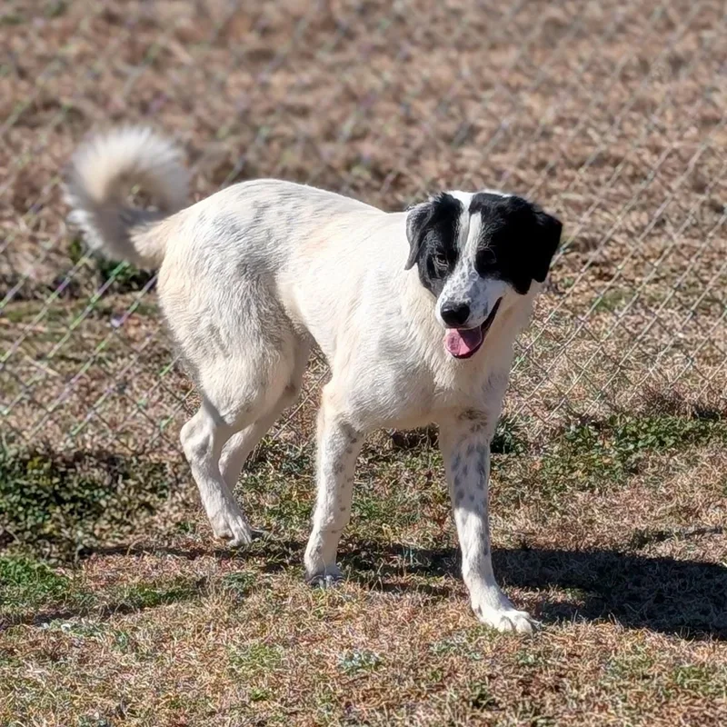 Bridgett thumbnail 2