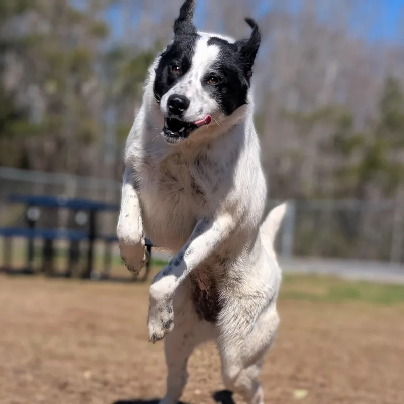 Bridgett thumbnail 3