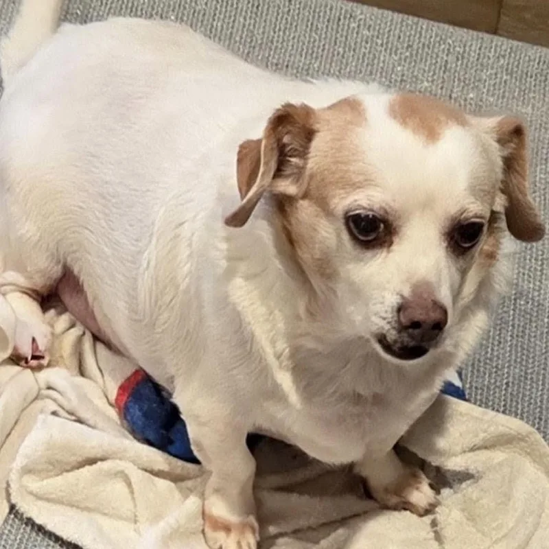 Freckles thumbnail 2