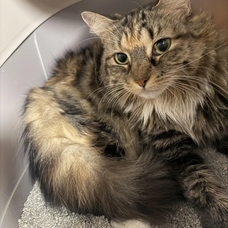 Holly & Heather thumbnail 2