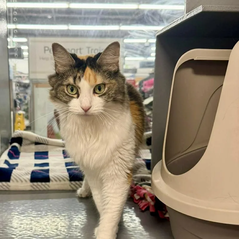 Holly & Heather thumbnail 3