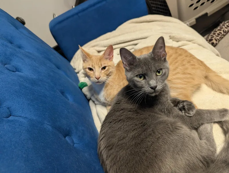 Danielle And Duster