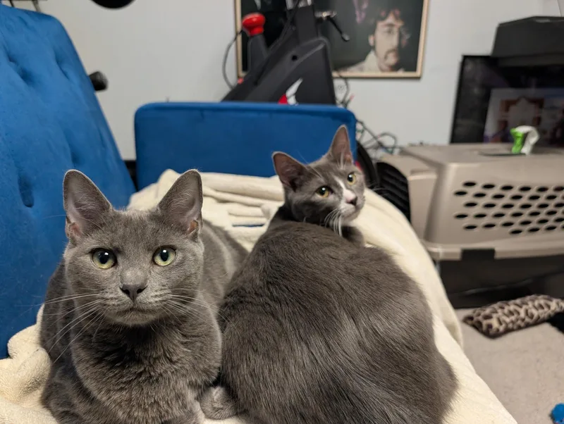 Danielle And Duster thumbnail 6