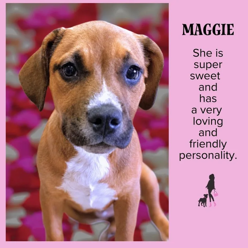 Maggie Jean thumbnail 6