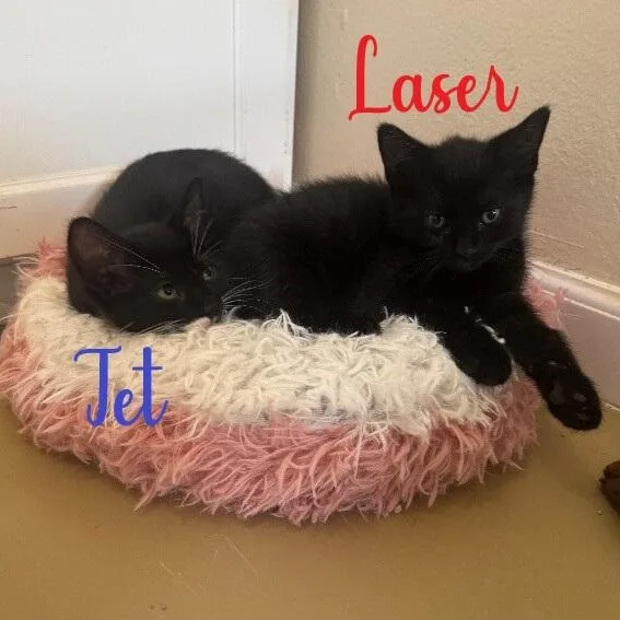 Laser thumbnail 2