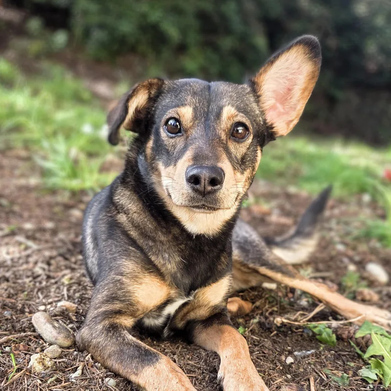 Georgina thumbnail 2