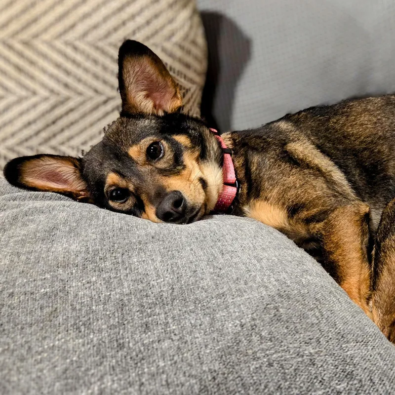 Georgina thumbnail 3