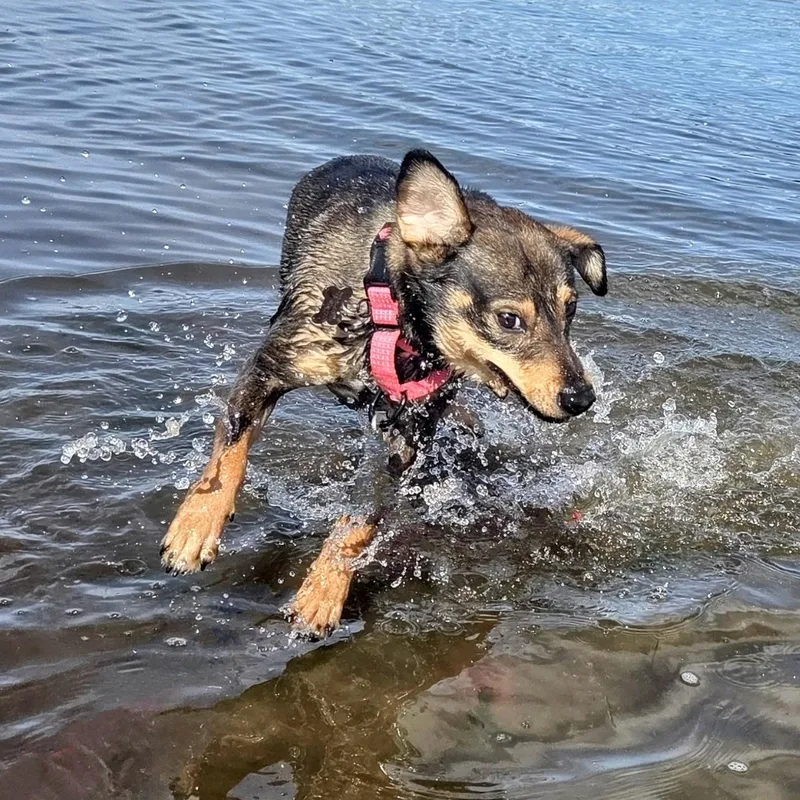 Georgina thumbnail 6