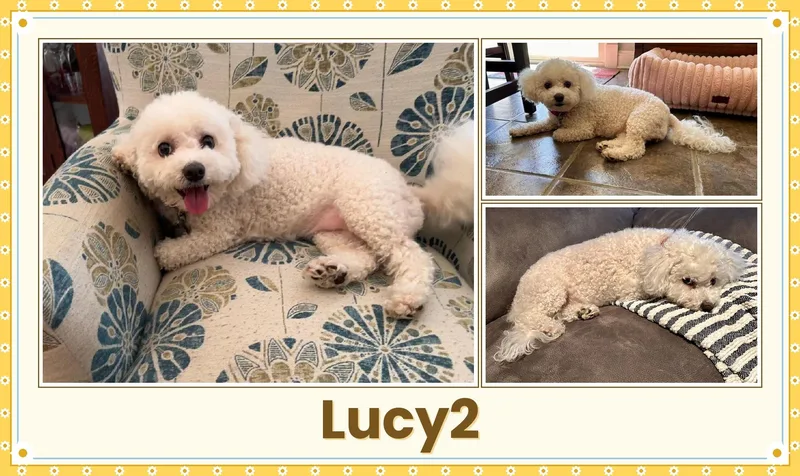 Lucy  Arkansas thumbnail 2
