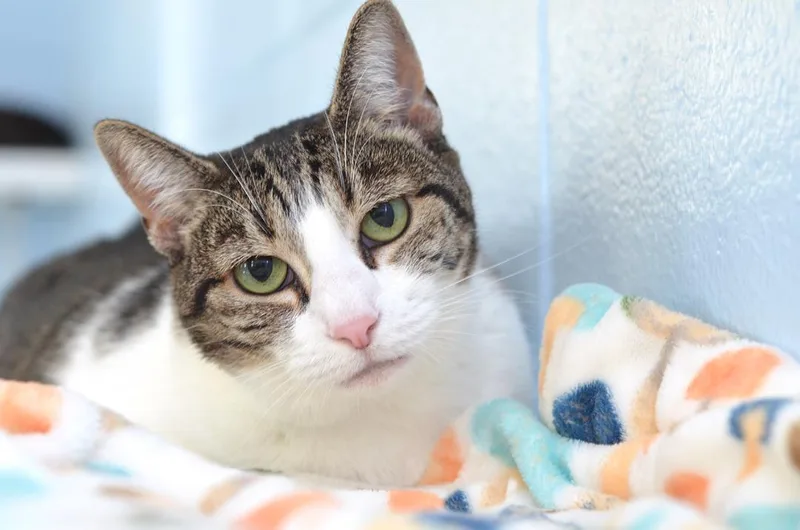 Maggie thumbnail 2