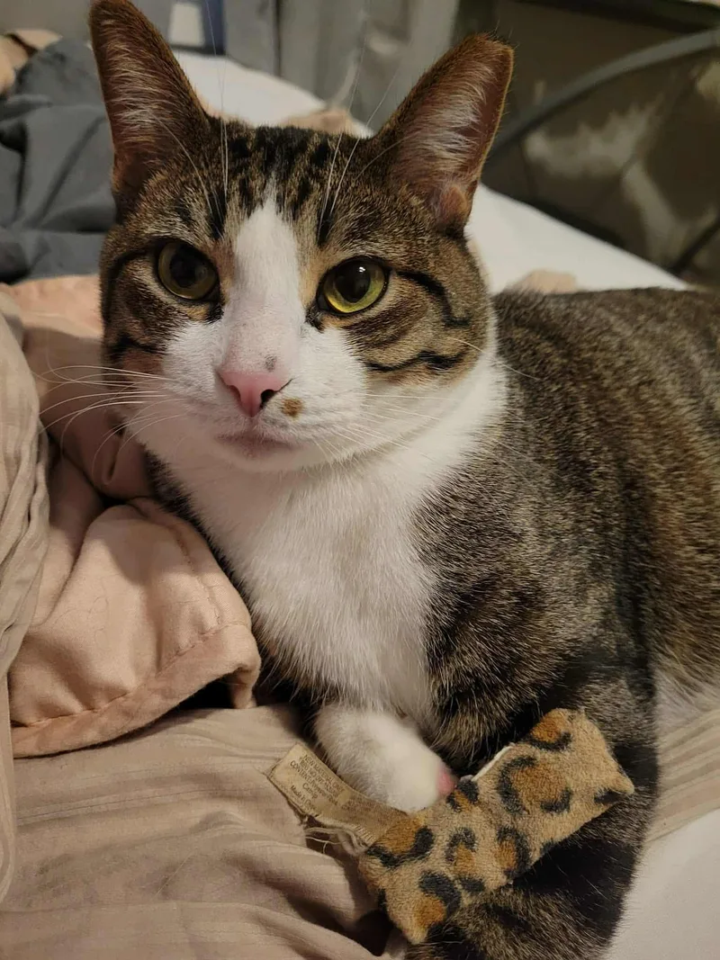 Mr. Pickles thumbnail 3