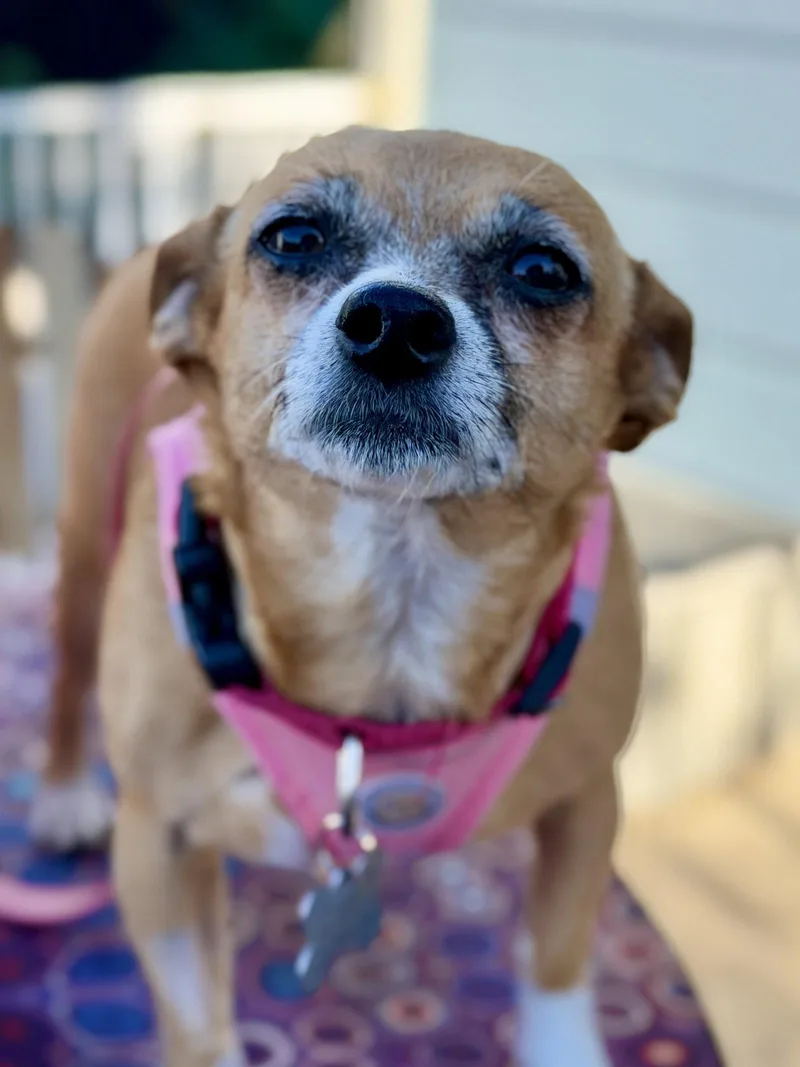 Lucy thumbnail 2