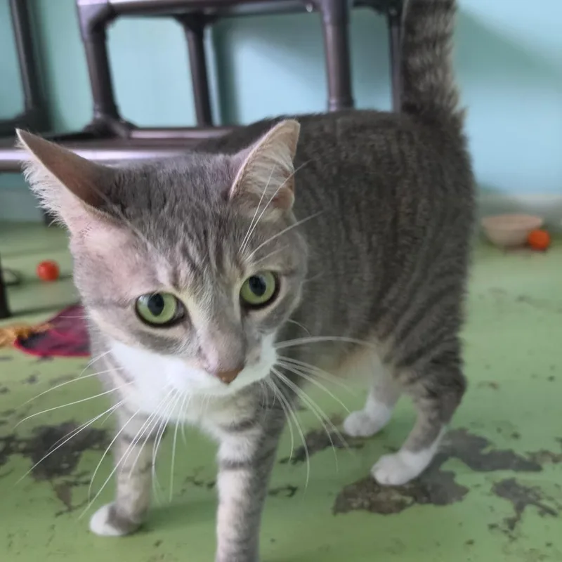 Nellie thumbnail 2