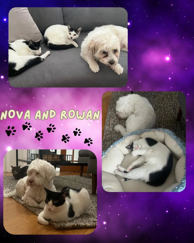 Nova and Rowan thumbnail 5