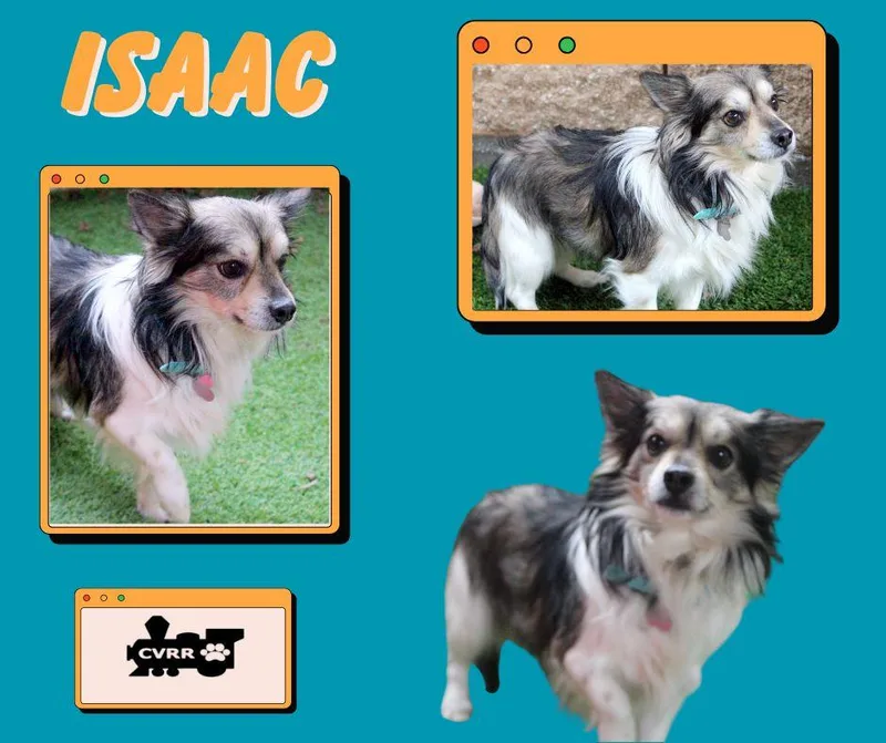 Isaac