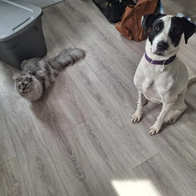 Wanda A 💜 🇨🇦 thumbnail 2