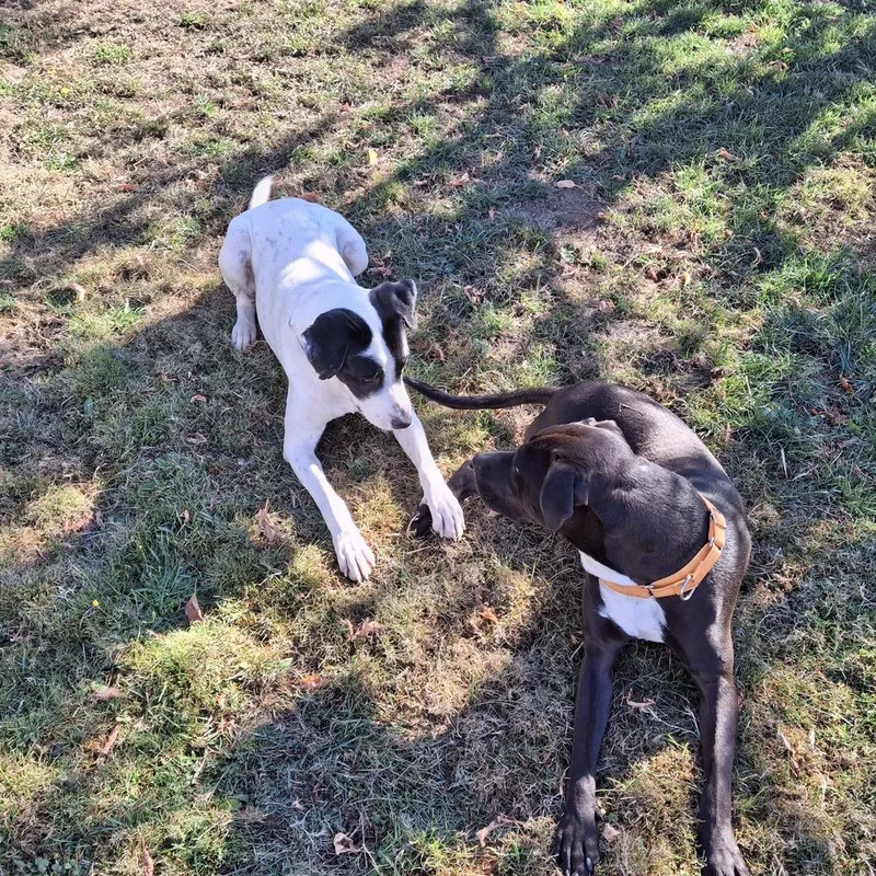 Wanda A 💜 🇨🇦 thumbnail 3