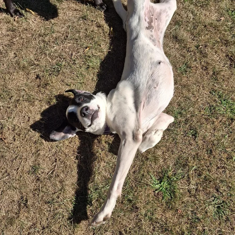 Wanda A 💜 🇨🇦 thumbnail 4