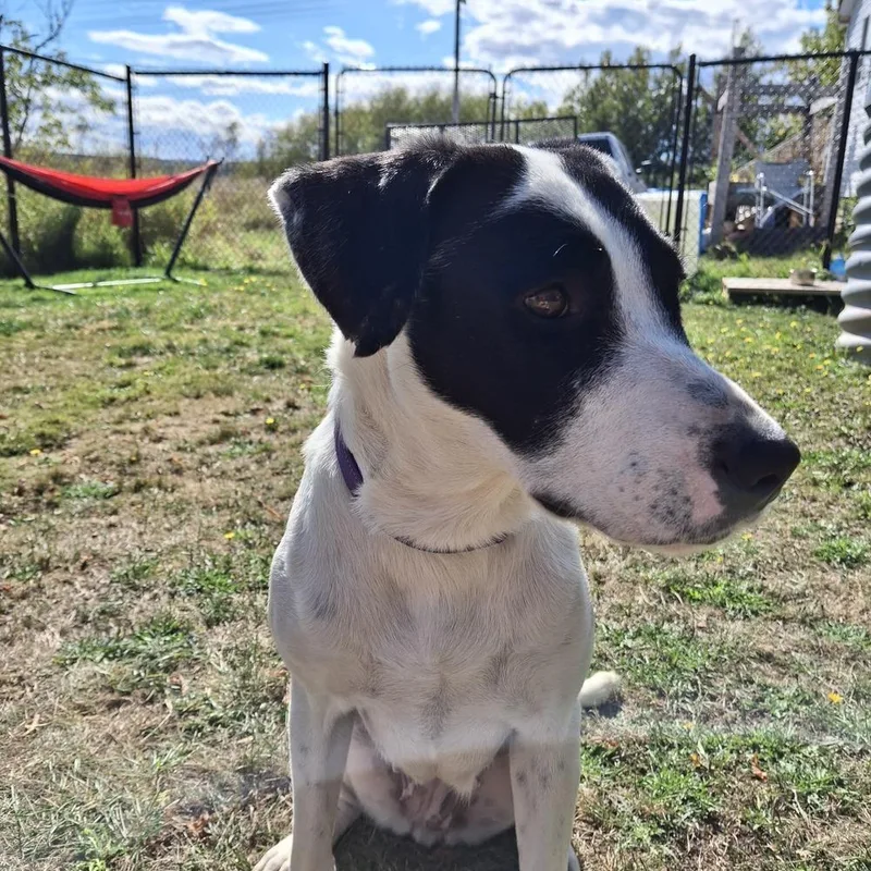 Wanda A 💜 🇨🇦 thumbnail 5