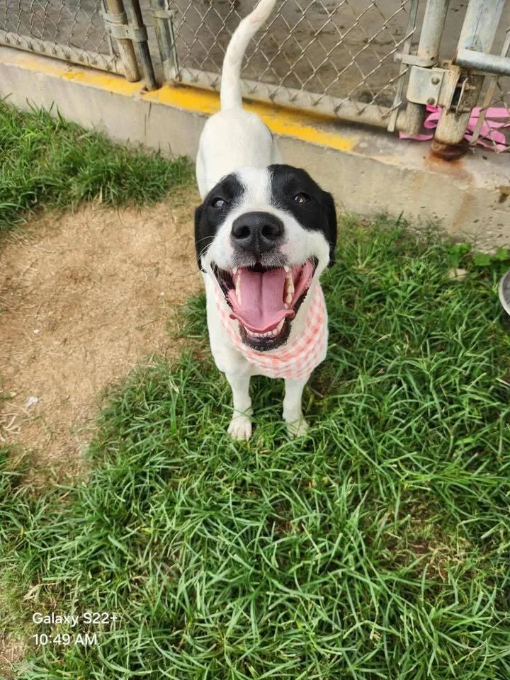 Wanda A 💜 🇨🇦 thumbnail 6