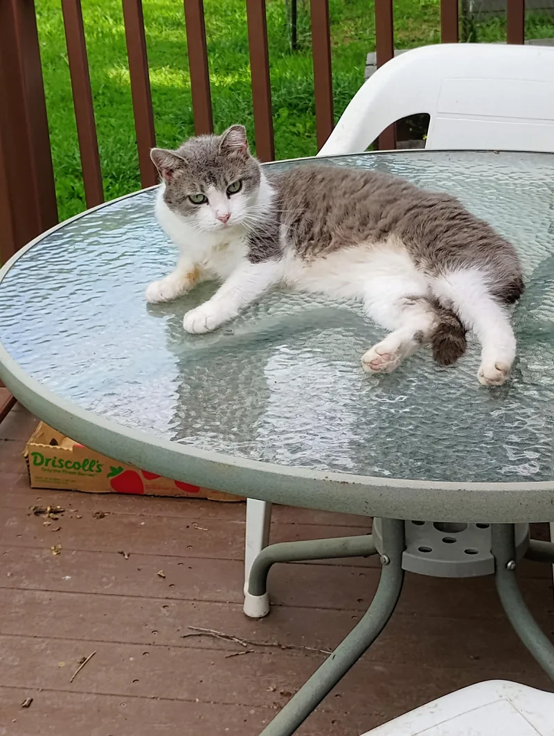 Clairesse thumbnail 3