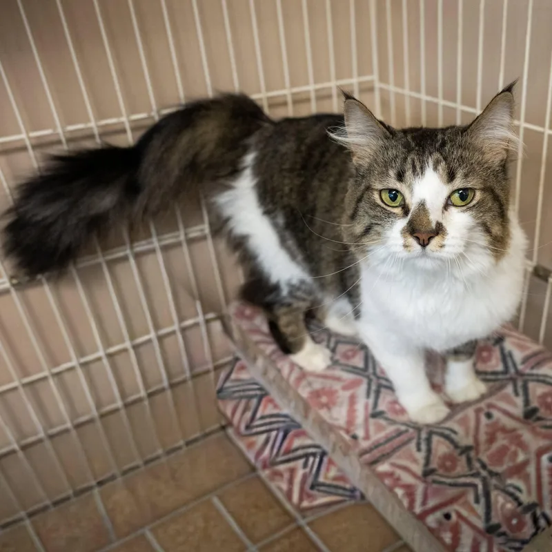 Princess thumbnail 2