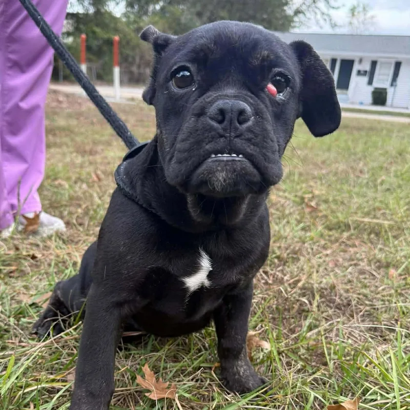 Jennie O thumbnail 2