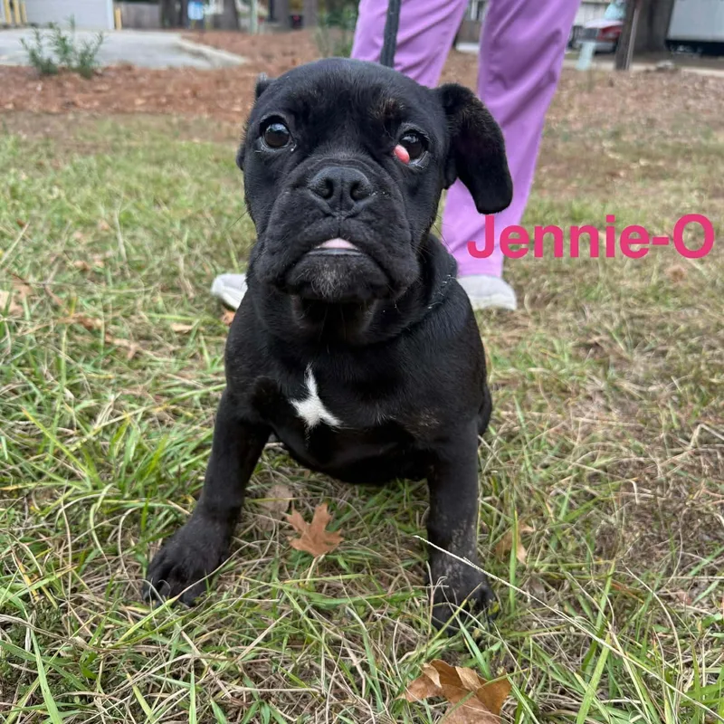 Jennie O thumbnail 3