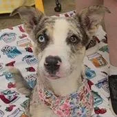 Molly