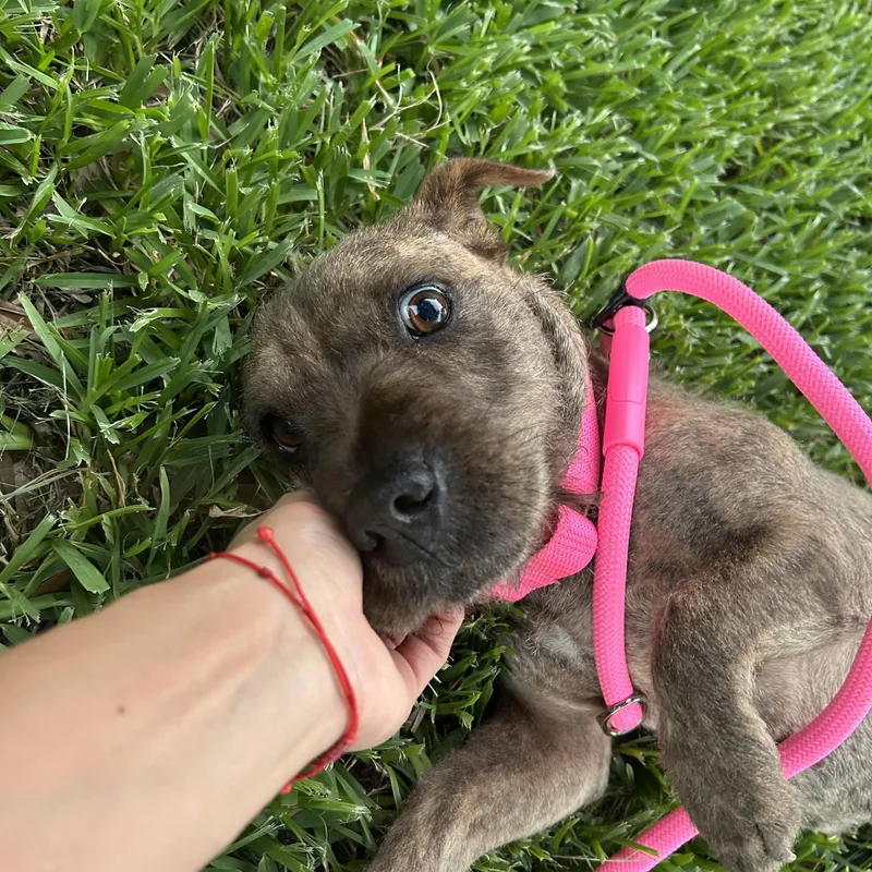 Winnie