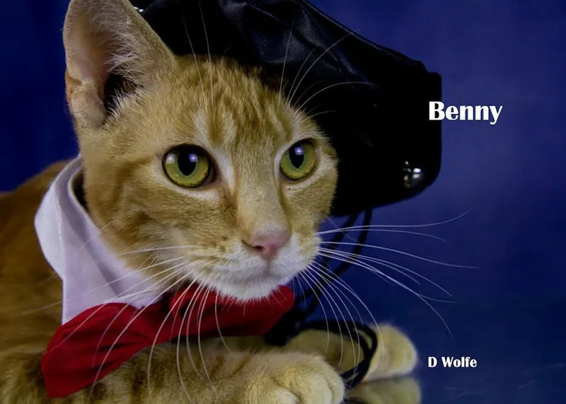 Benny thumbnail 2