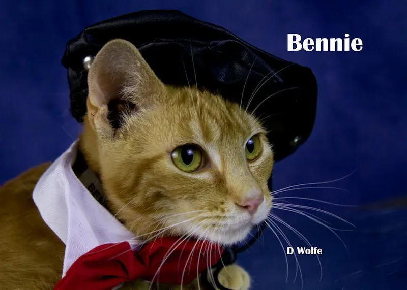 Benny thumbnail 3