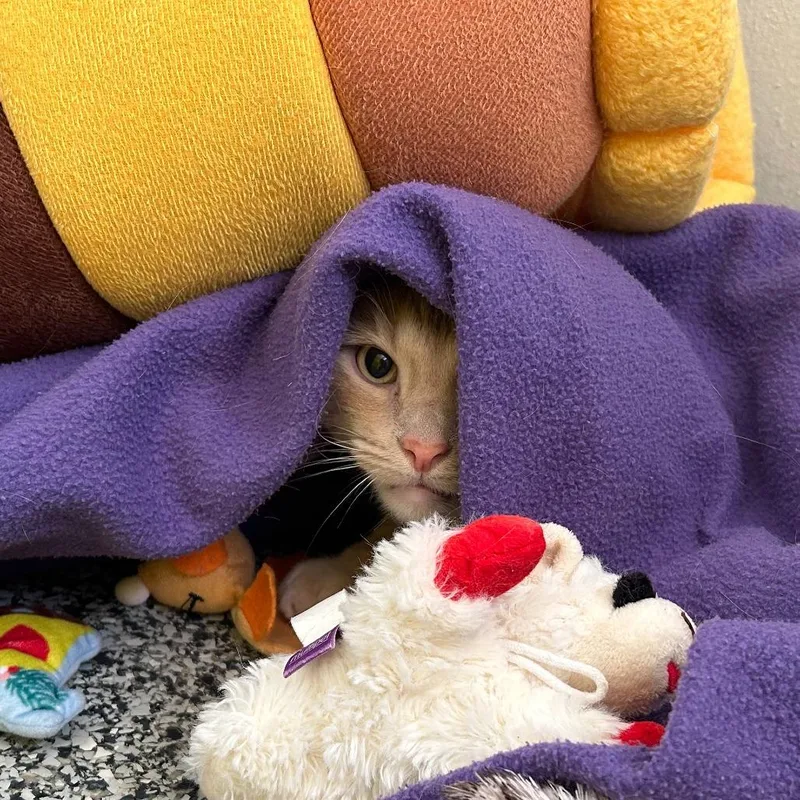 Rico NOCO