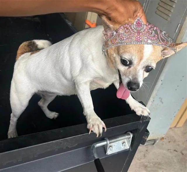 Coco