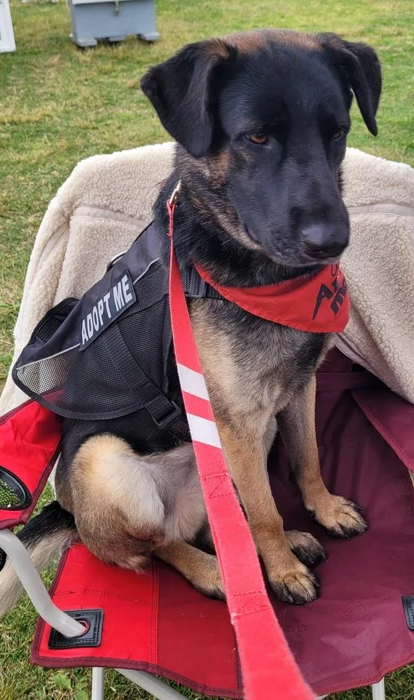 Patterson thumbnail 2