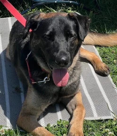 Patterson thumbnail 5