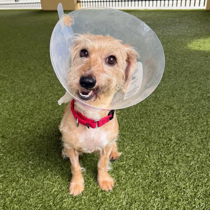 Margarita thumbnail 2