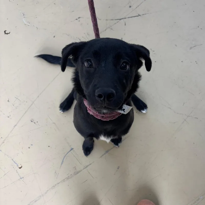 Michelle thumbnail 2