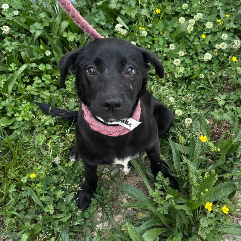 Michelle thumbnail 3