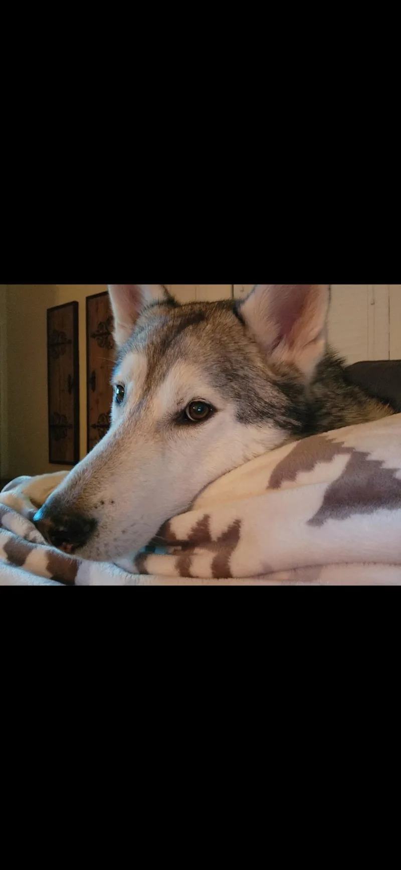 Riley thumbnail 5