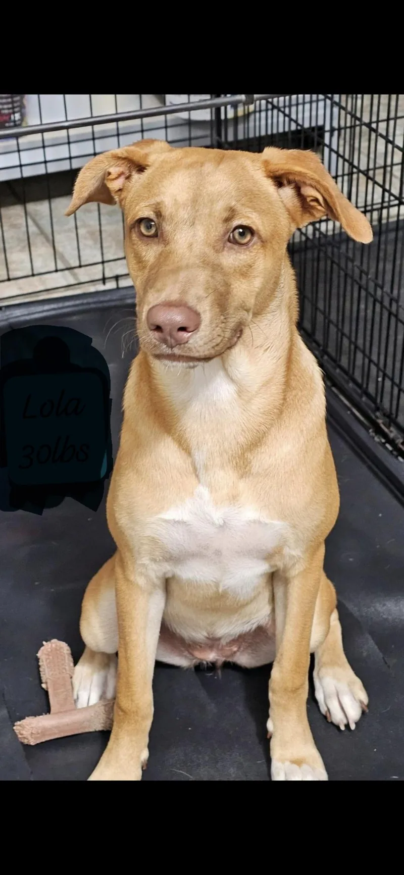 Lola Sage "hugs Anyone?" thumbnail 2