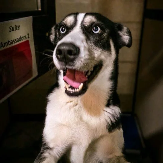 Corbin Bleu thumbnail 2