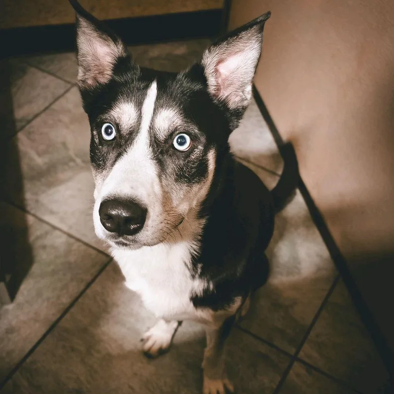 Corbin Bleu thumbnail 5